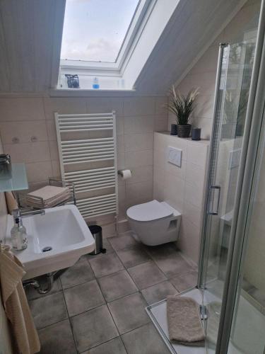 a bathroom with a sink and a toilet and a skylight at Feldblick in Ruhwinkel