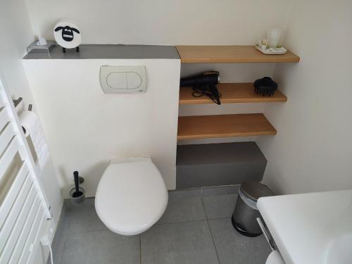 a bathroom with a white toilet in a room at Le Pic-Vert in Rang-du-Fliers