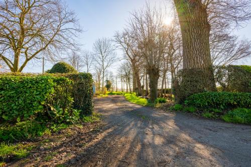 a dirt road in a park with trees and bushes at t' Zwaluwnestje in Zedelgem