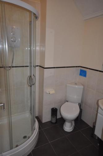a bathroom with a toilet and a shower at Stable Cottage, Whitebridge Farm in Shaftesbury