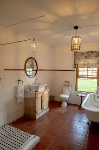 a bathroom with a sink and a toilet at Karoo House Collection - Riverdene Lodge in Nieu-Bethesda