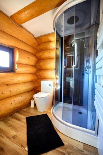 a bathroom with a toilet and a shower at Golden Log House in Hajdúszoboszló