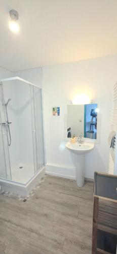 a bathroom with a shower and a sink at Le Babord T2 étoilé in Saint-Méloir-des-Ondes