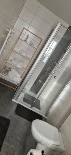 a bathroom with a toilet and a glass wall at Ostsee No8 Eckernförde in Eckernförde