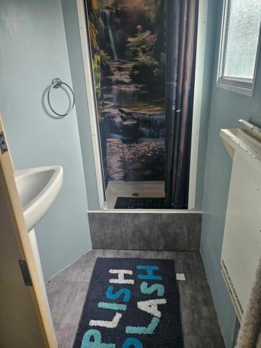 a bathroom with a shower and a rug on the floor at An Tigin in Cahersiveen