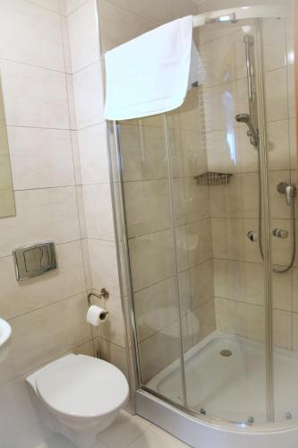 a bathroom with a shower and a toilet and a sink at Hotel Fero Lux in Korbielów