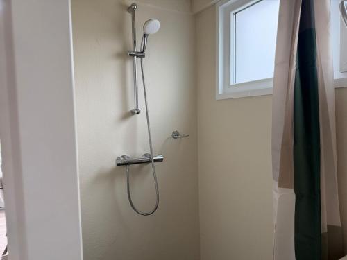 a shower stall in a bathroom with a shower at De Ree Tiny House Tussen de Dijken in Driewegen