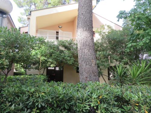 Beach & Pine Apartments