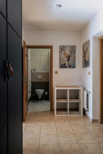 a bathroom with a toilet and a sink at Cyklo Apartmán Třeboň in Třeboň