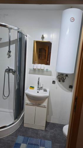 a bathroom with a sink and a shower and a toilet at Apartament Riva in Rowy