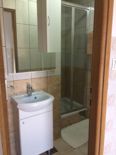 a bathroom with a sink and a shower at Nadalina 10 in Starigrad