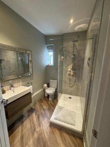 a bathroom with a shower and a toilet and a sink at Rooftops in Louth