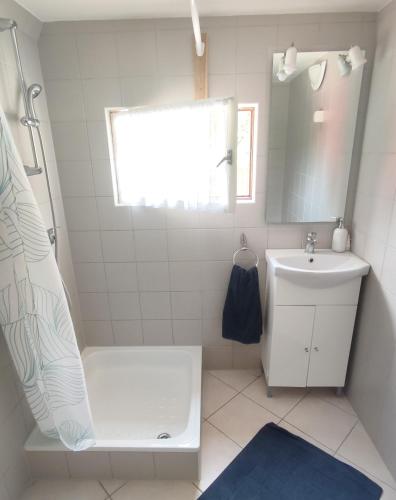 a bathroom with a shower and a sink and a mirror at Ciprus nyaraló in Szarvas