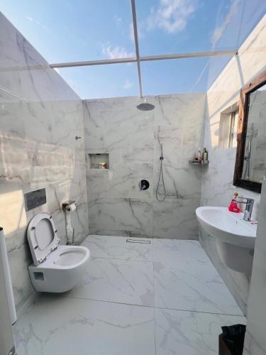 a white bathroom with a toilet and a sink at City Retreat Mega in Arusha