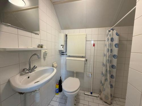 a bathroom with a toilet and a sink at Villa Tulp & Duin in Julianadorp