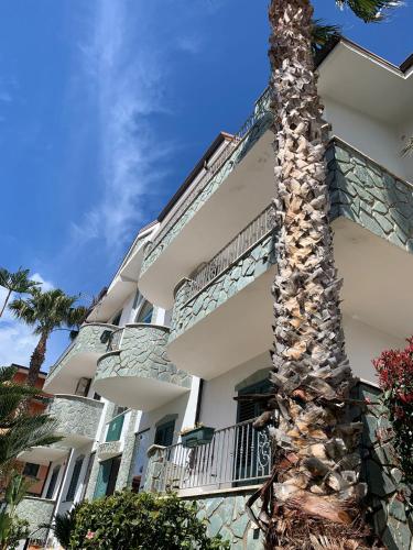 a palm tree in front of a building at Don Michele Apartments in Gizzeria