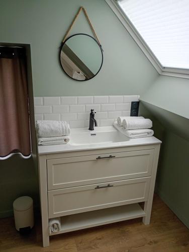 a bathroom with a sink and a mirror at le jardin Médicis avec spa et sauna in Trédion