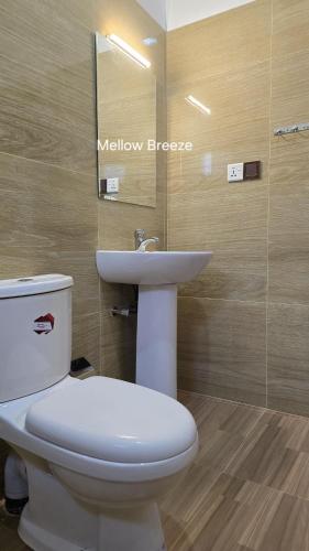 a bathroom with a white toilet and a sink at Mellow Breeze - Nuwara Eliya in Nuwara Eliya