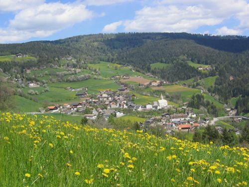 a field of yellow flowers in front of a town at Schötzerhof in Meltina