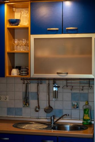 a kitchen with a sink and blue cabinets at Apartment Sofia in Kožino
