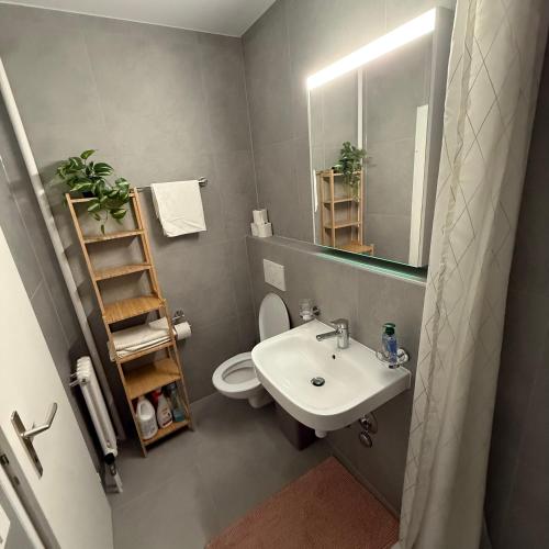 a bathroom with a sink and a toilet and a mirror at Appt Lausanne Gare - Totti in Lausanne