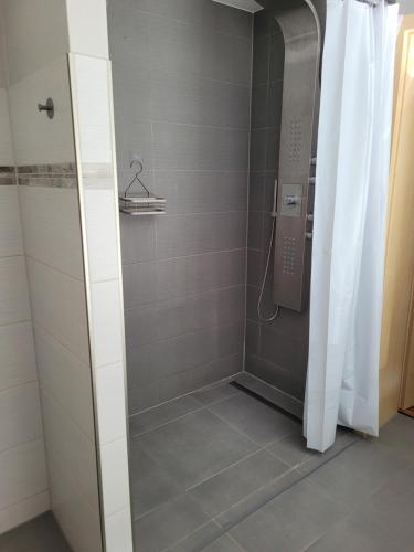 a shower with a glass door in a bathroom at Ferienwohnung Heider in Dippoldiswalde