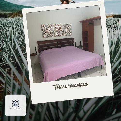 a picture of a bedroom with a purple bed at Casa Morelos Tekilán in Tequila