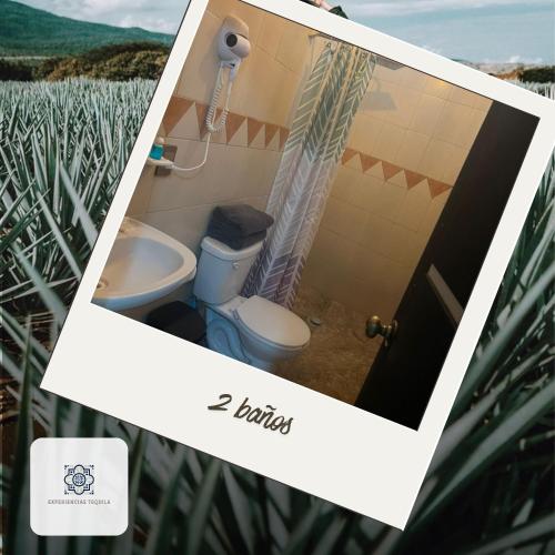 a bathroom with a toilet and a sink at Casa Morelos Tekilán in Tequila