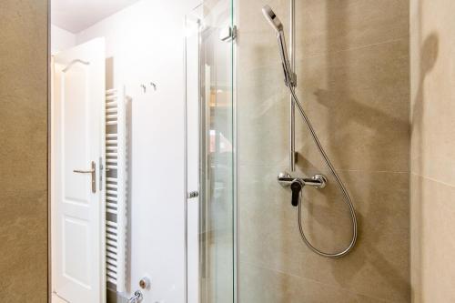 a shower with a glass door in a bathroom at Princessa Coast in Süderende