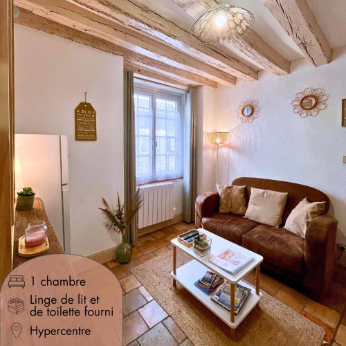 Le Petit Saint Jean - Appartement cosy à Blois