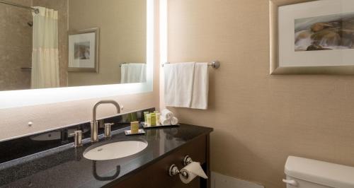 a bathroom with a sink and a mirror at Saint John Harbourfront Hotel in Saint John