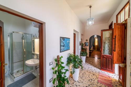a bathroom with a sink and a shower at Apartment Su Cramu in Villacidro