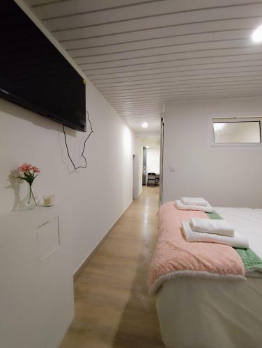 a bedroom with two beds and a flat screen tv at Cantinho do Corgo in Vila Real