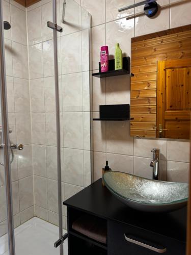 a bathroom with a sink and a shower at Ferienwohnung“puutalossa“ in Sehlen