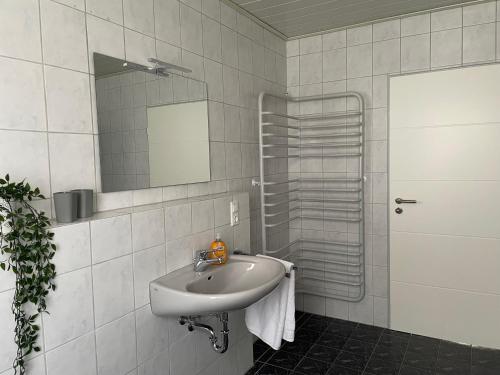 a bathroom with a sink and a mirror at Landidyll Georg in Ostbevern