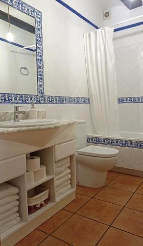 a bathroom with a sink and a toilet at Casa Carmeta Beceite in Beceite