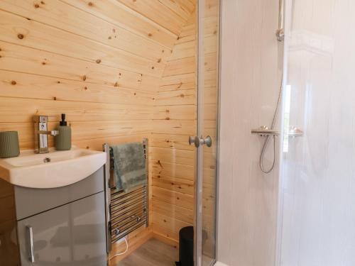 a bathroom with a shower and a sink at Lili Wen Fach in Ruthin