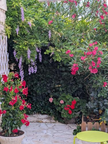 Jardí fora de Le Petit Paradis