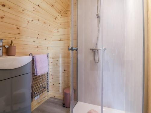 a bathroom with a shower and a sink at Cennin Pedr in Ruthin