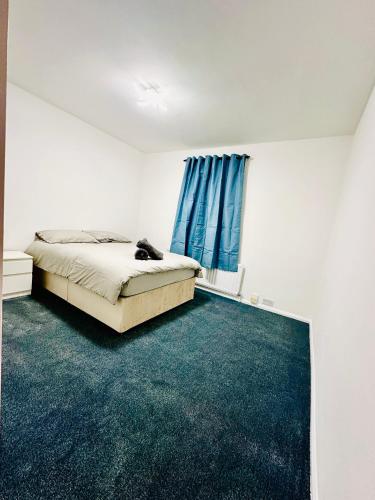a bedroom with a bed and a blue carpet at Reading Central Haven in Reading
