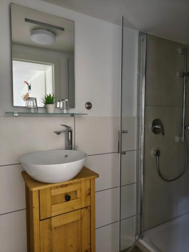 a bathroom with a sink and a shower with a mirror at Hansenchristenhof in Gutach
