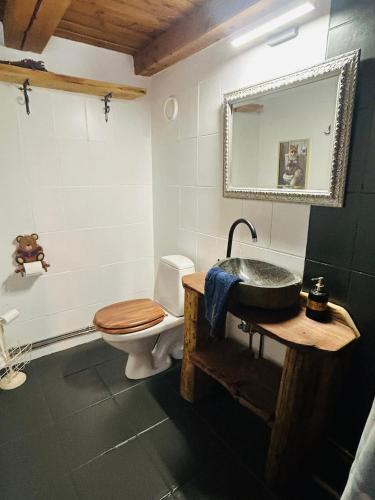 a bathroom with a sink and a toilet and a mirror at Villa Nõva külalistemaja saunaga in Vaisi