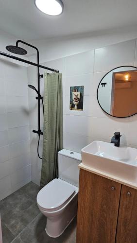 a bathroom with a toilet and a sink and a mirror at Cantinho de Milfontes 1 in Vila Nova de Milfontes