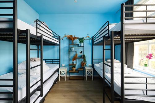 a room with four bunk beds with blue walls at Herberg, Het Wapen van Tilburg in Tilburg