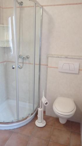 a bathroom with a shower and a toilet at Agriturismo L'Imposto in Pomarance