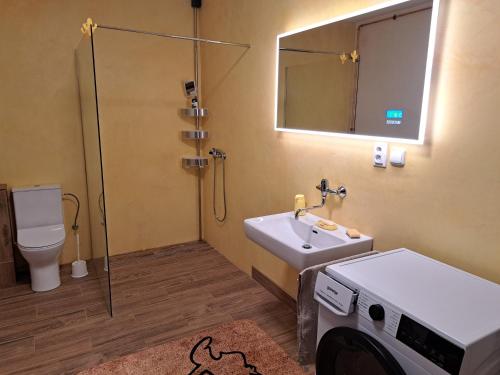 a bathroom with a washing machine and a sink at Pension Garage in Kutná Hora