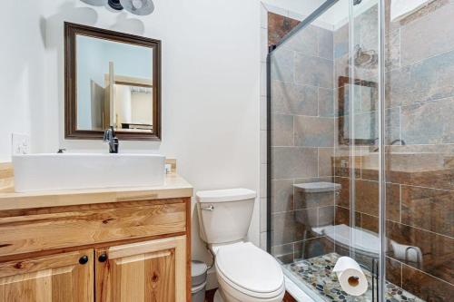a bathroom with a toilet and a sink and a shower at Valley Vista Vacay in Littleton