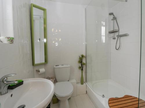 a bathroom with a sink and a toilet and a shower at Yr Hen Ysgoldy in Machynlleth
