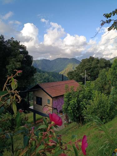 a small house with graffiti on the side of it at Sonho na Serra Chalé 2 in Gonçalves