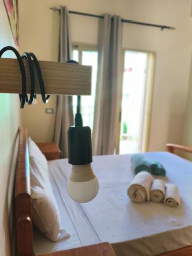 HostySpot - Coqueiro